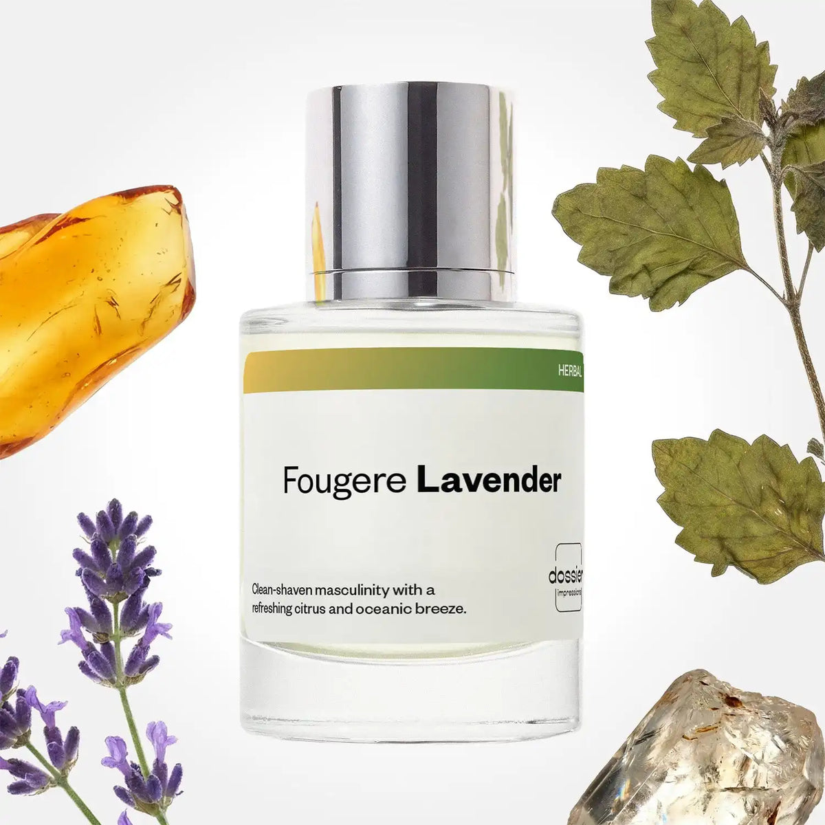 Fougere Lavender